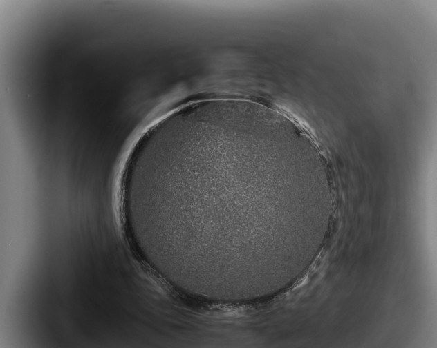 X0000087690343200705111325