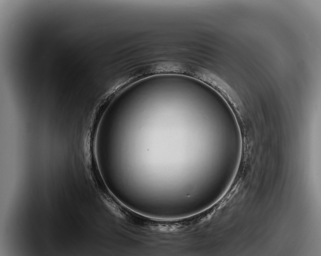 X0000087690345200705111325