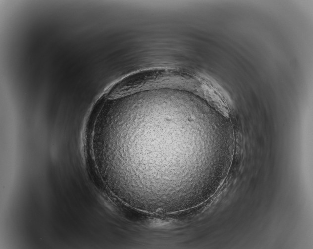 X0000087690346200705111325