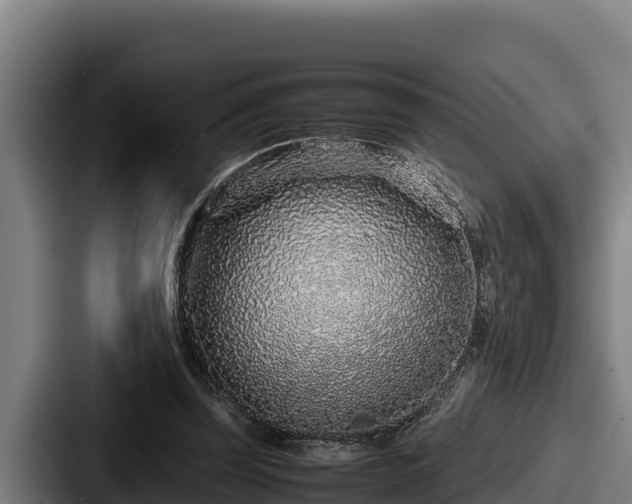 X0000087690347200705111325