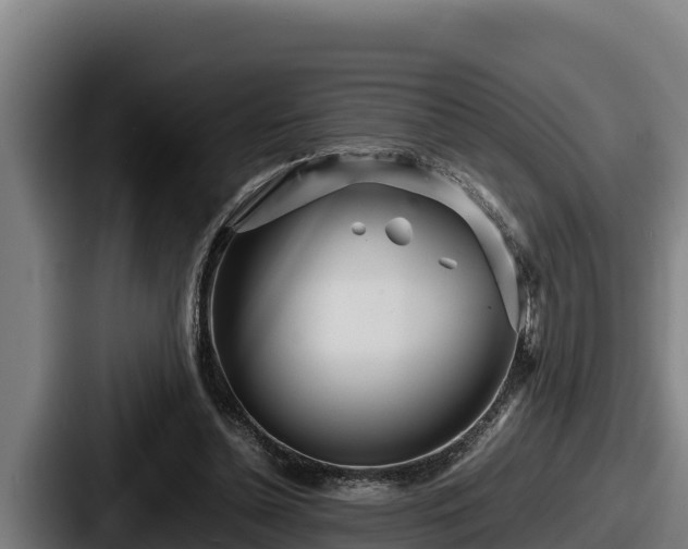 X0000087690348200705111325