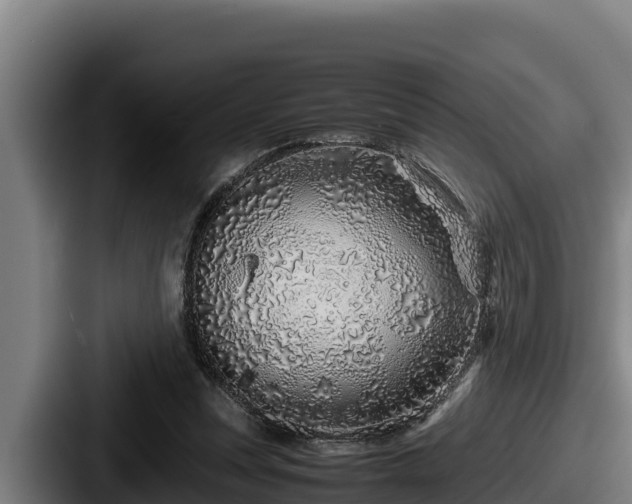 X0000087690351200705111325