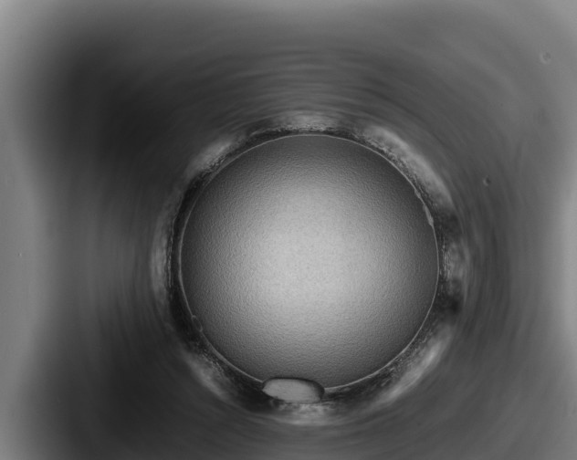 X0000087690352200705111325
