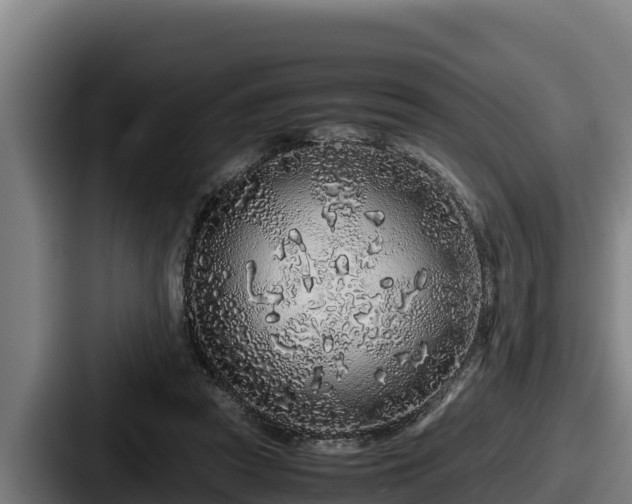 X0000087690353200705111325