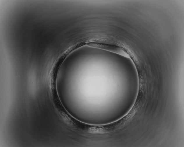 X0000087690354200705111325