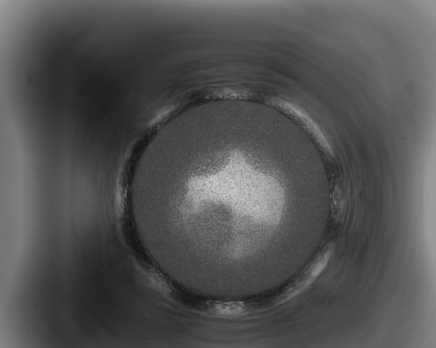 X0000087690355200705111325