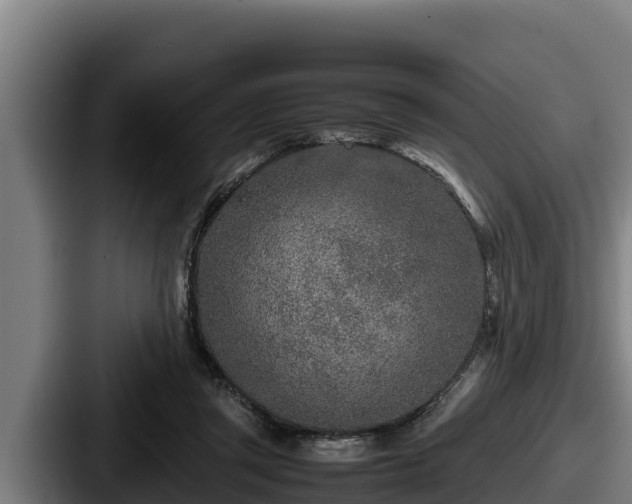 X0000087690357200705111325