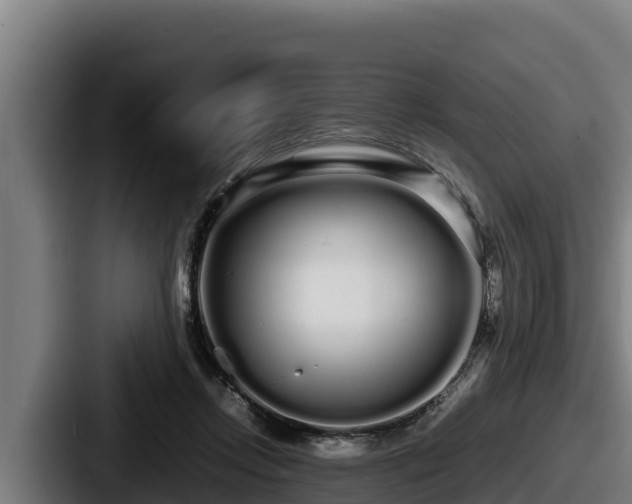X0000087690358200705111325