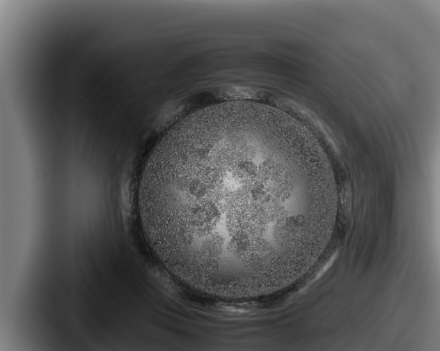 X0000087690359200705111325