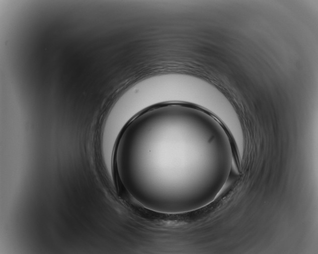 X0000087690360200705111325