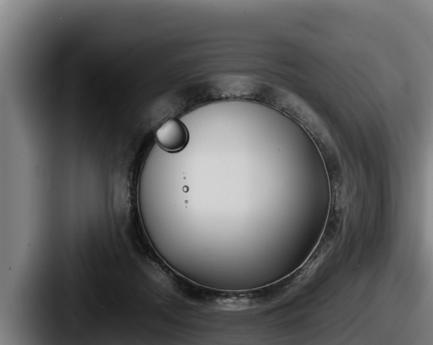 X0000087690362200705111325