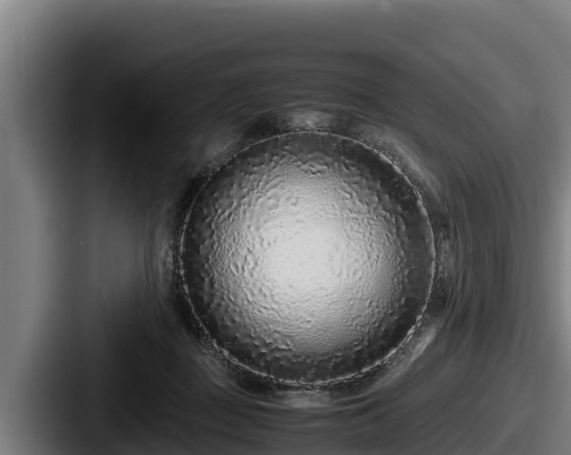 X0000087690363200705111325