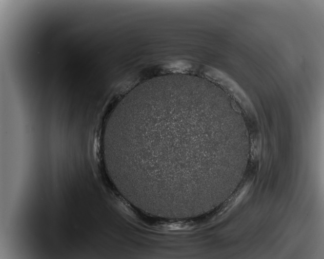 X0000087690365200705111325