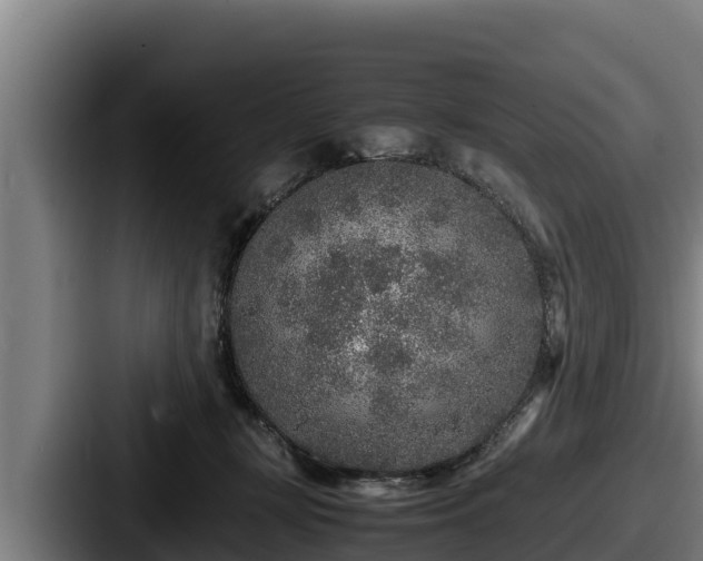 X0000087690367200705111325