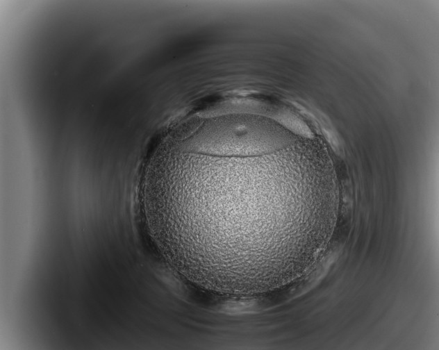 X0000087690369200705111325