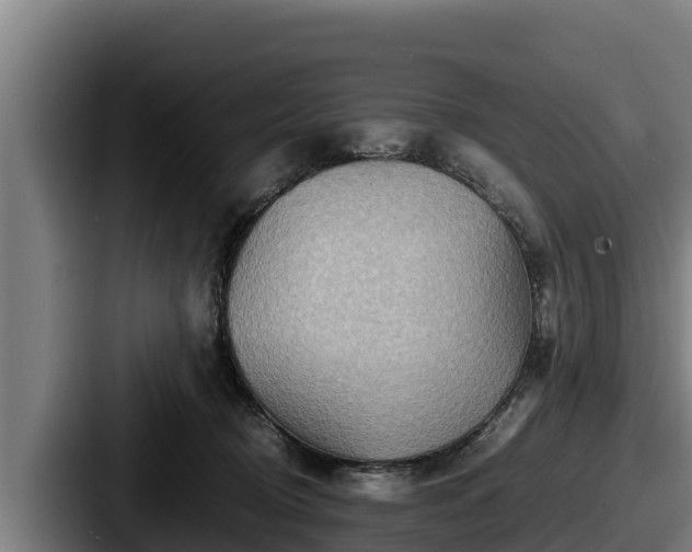 X0000087690370200705111325