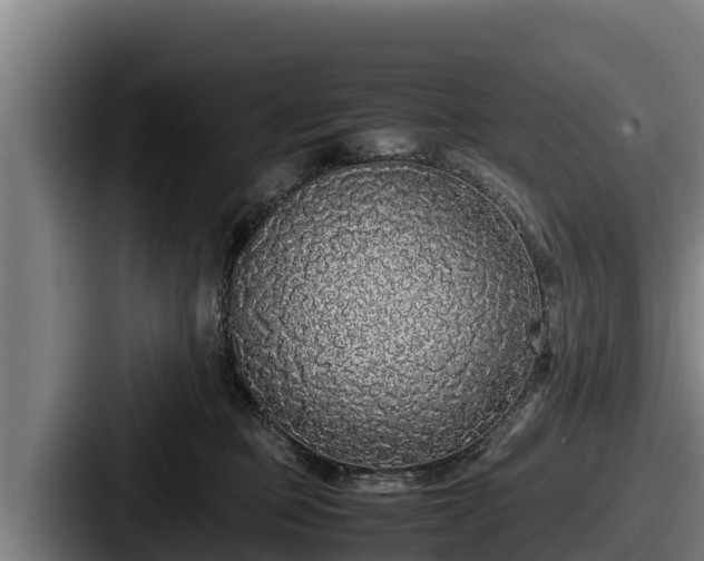 X0000087690373200705111325