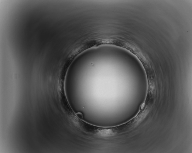X0000087690374200705111325