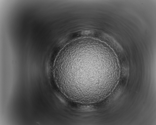 X0000087690375200705111325