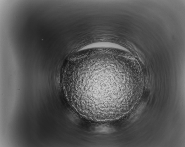 X0000087690377200705111325