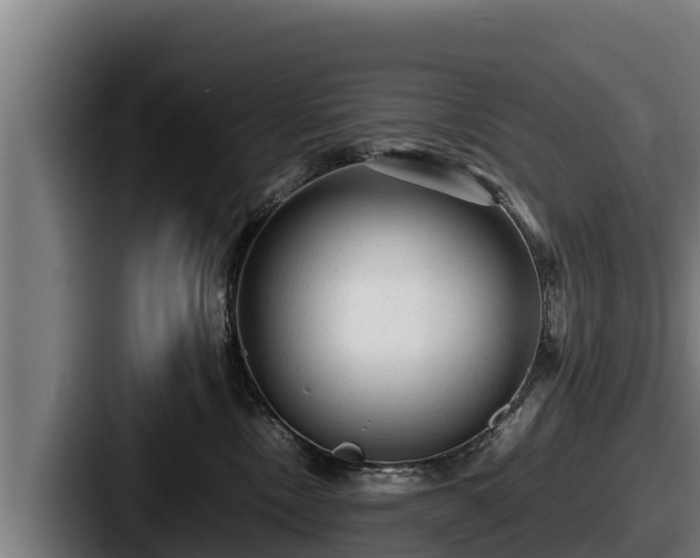 X0000087690378200705111325