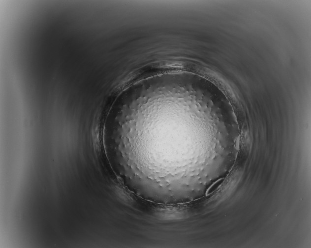 X0000087690381200705111325