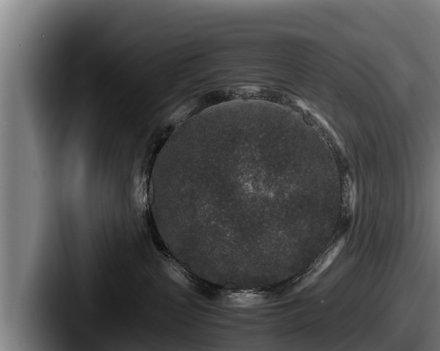 X0000087690383200705111325