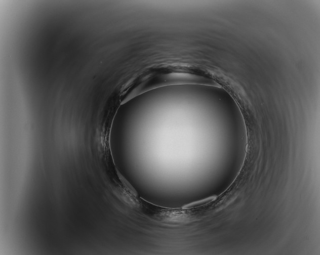 X0000087690384200705111325