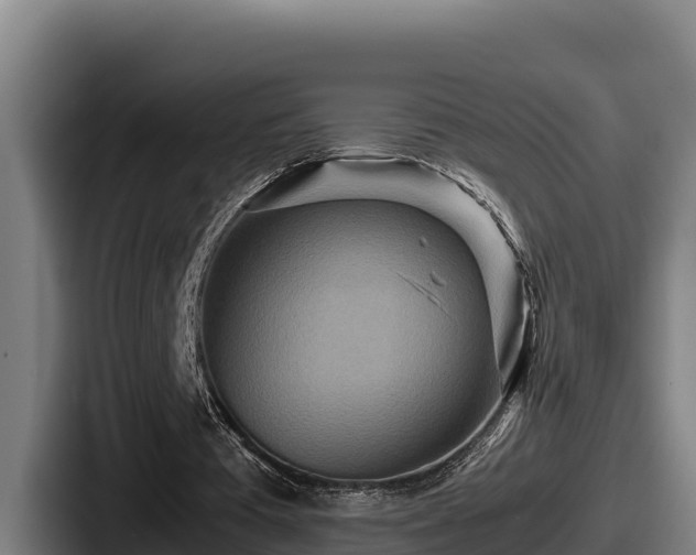 X0000087690385200705111325