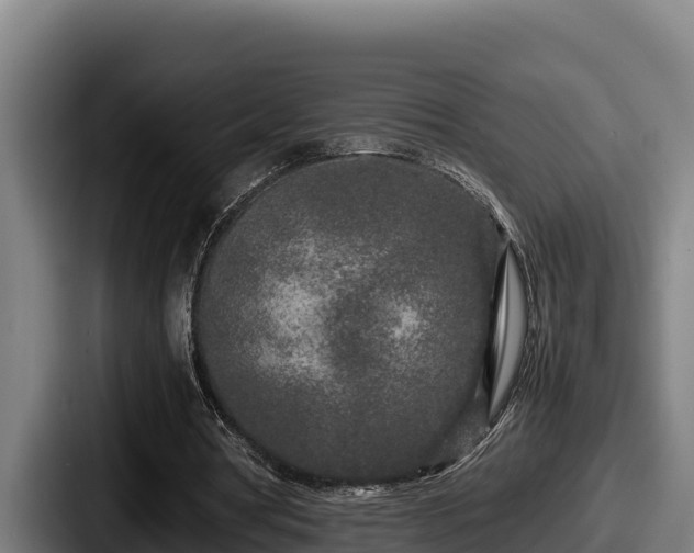 X0000087690386200705111325