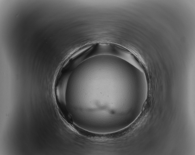 X0000087690389200705111325