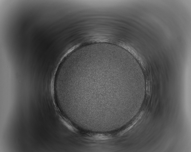 X0000087690390200705111325