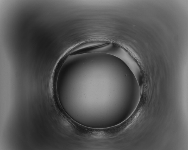 X0000087690391200705111325