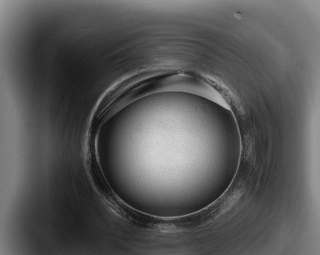 X0000087690392200705111325