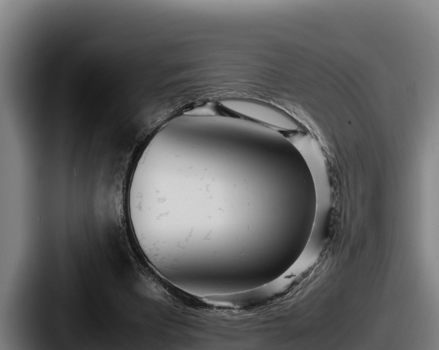 X0000087690393200705111325