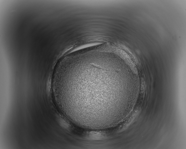 X0000087690394200705111325