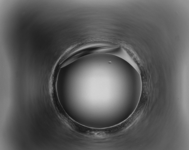 X0000087690395200705111325