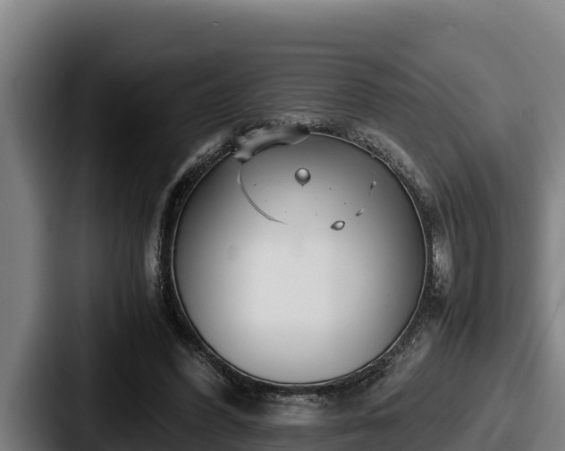 X0000087690396200705111325