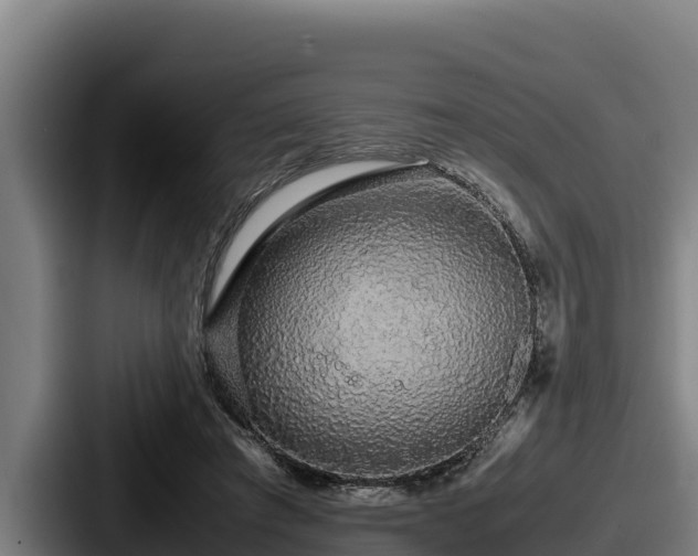 X0000087690401200705111325