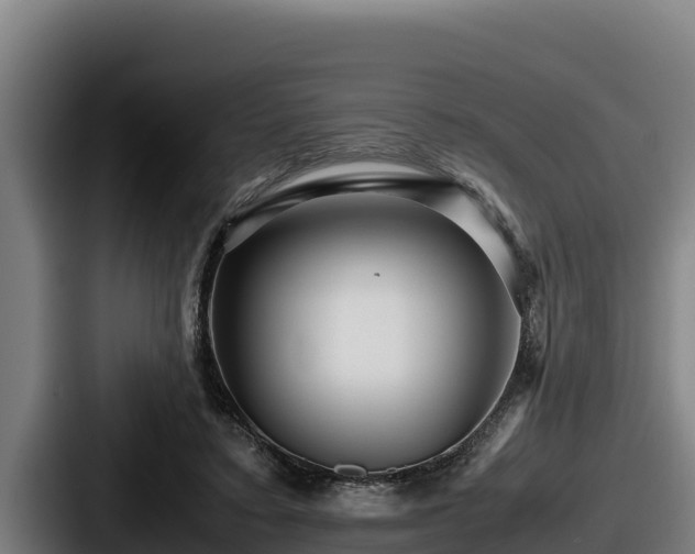 X0000087690403200705111325
