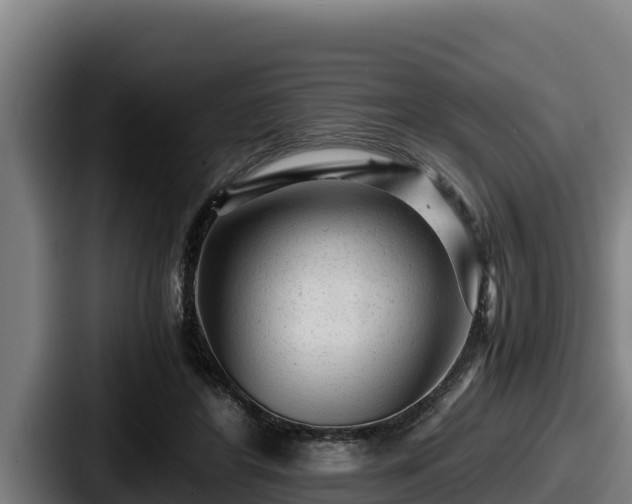 X0000087690404200705111325