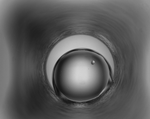 X0000087690405200705111324