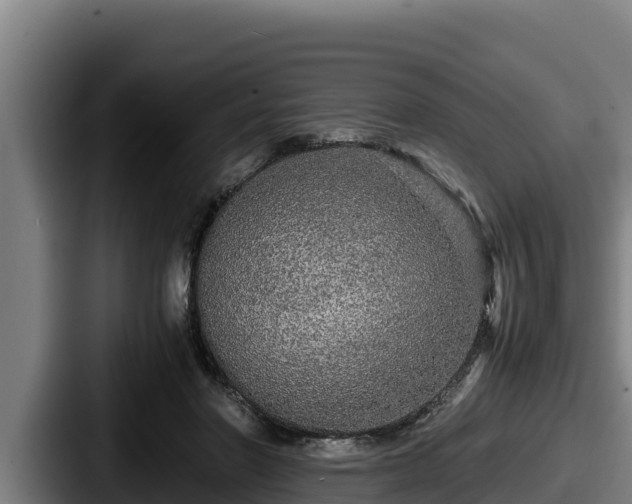 X0000087690406200705111324