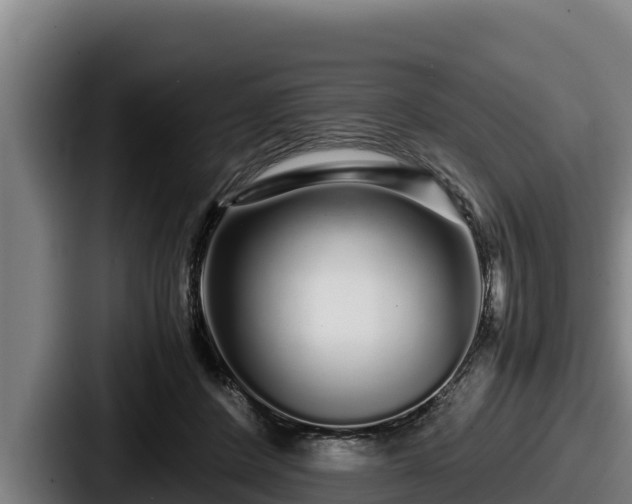 X0000087690408200705111324