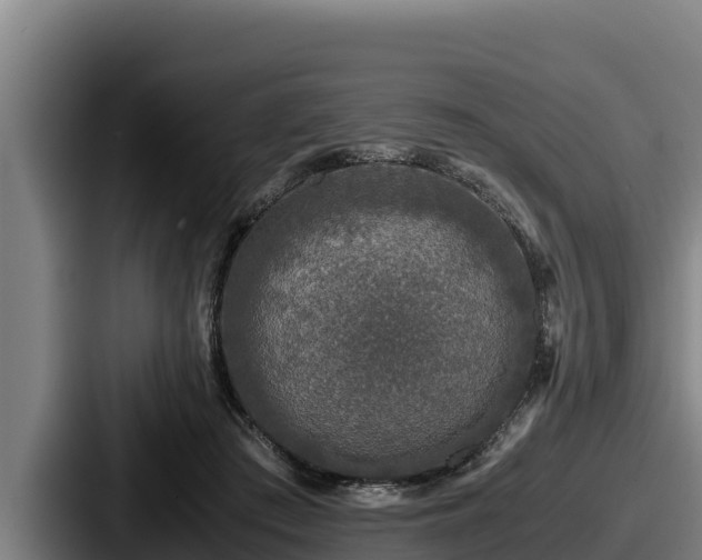 X0000087690409200705111324
