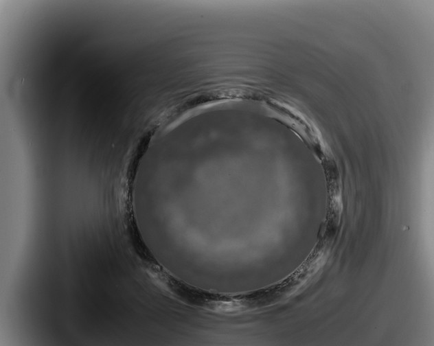 X0000087690411200705111324