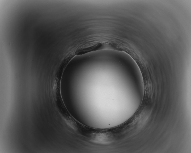 X0000087690412200705111324