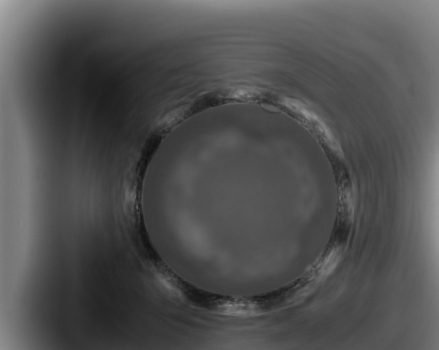 X0000087690415200705111324