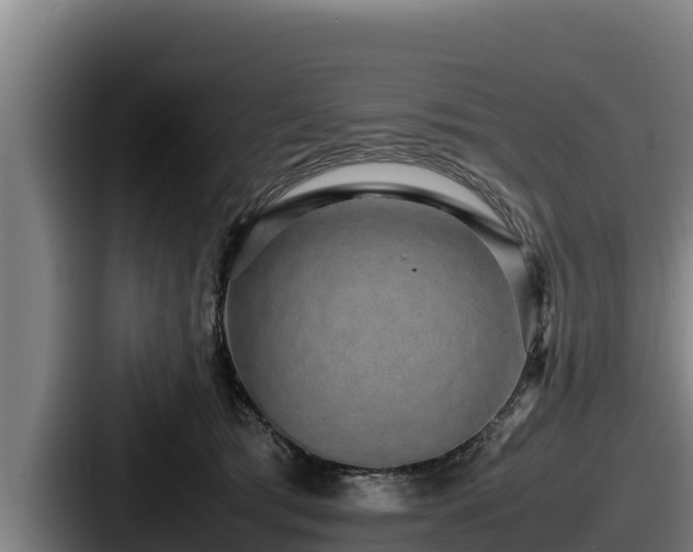 X0000087690417200705111324