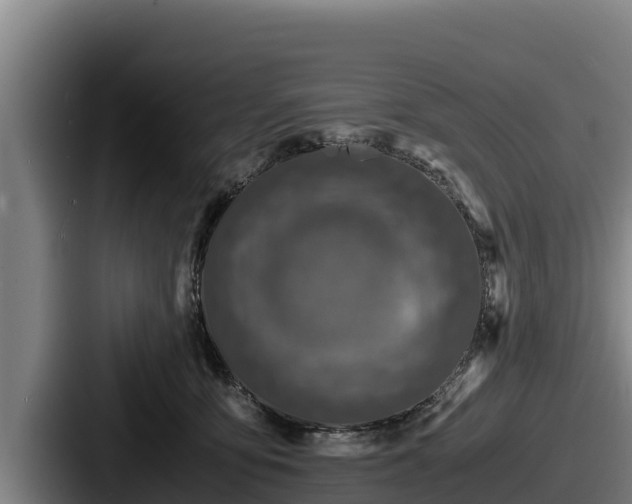 X0000087690419200705111324